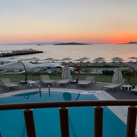 Small 图尔古特雷斯