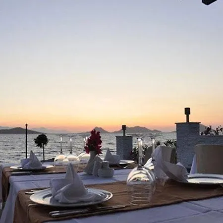 Hotell Small 4*