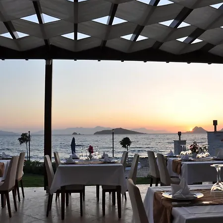 Hotel Small 4*