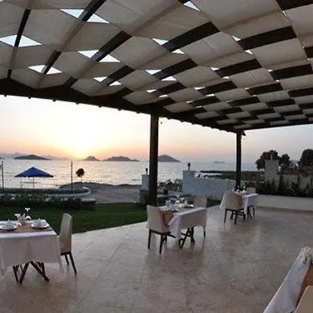 Small 图尔古特雷斯