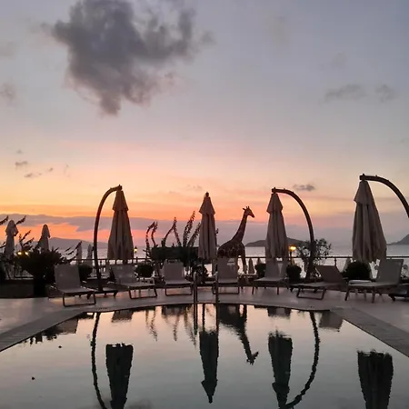 Hotell Small Turgutreis