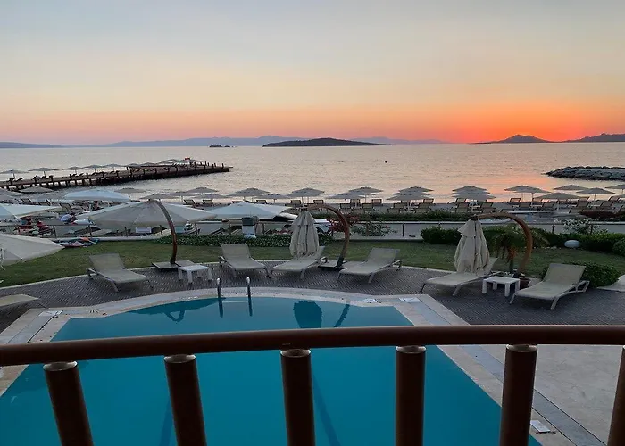 Small טורגוטריס