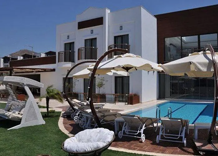 Small טורגוטריס