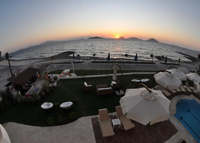 מלון Small טורגוטריס