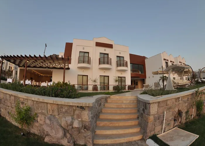 Small טורגוטריס