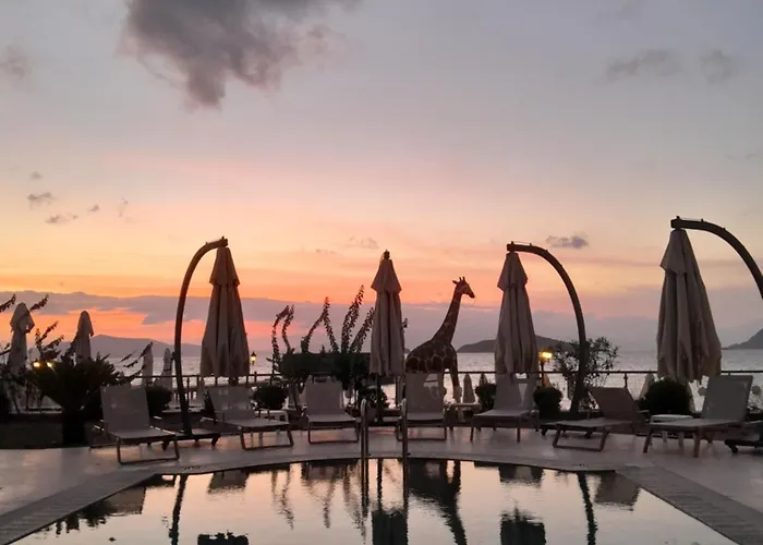 מלון Small טורגוטריס