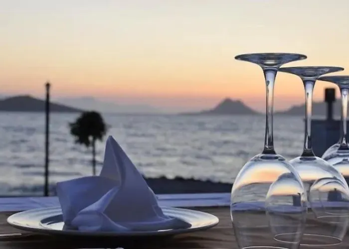 Small 4* טורגוטריס