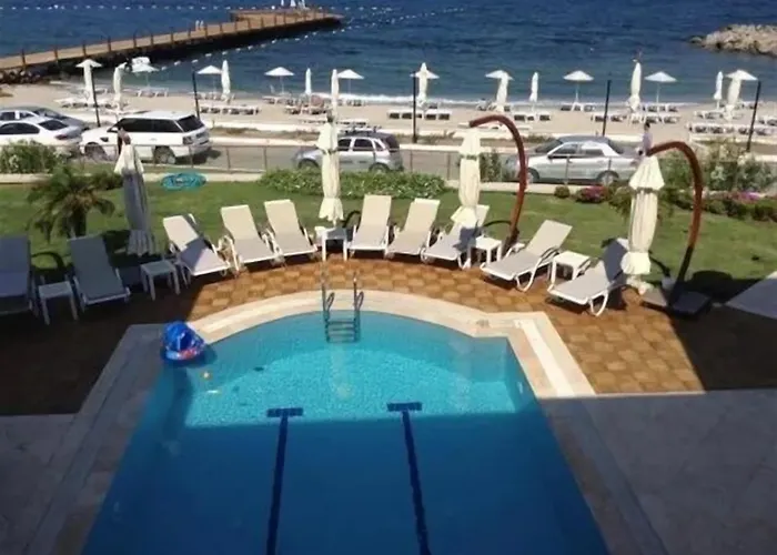 Small טורגוטריס