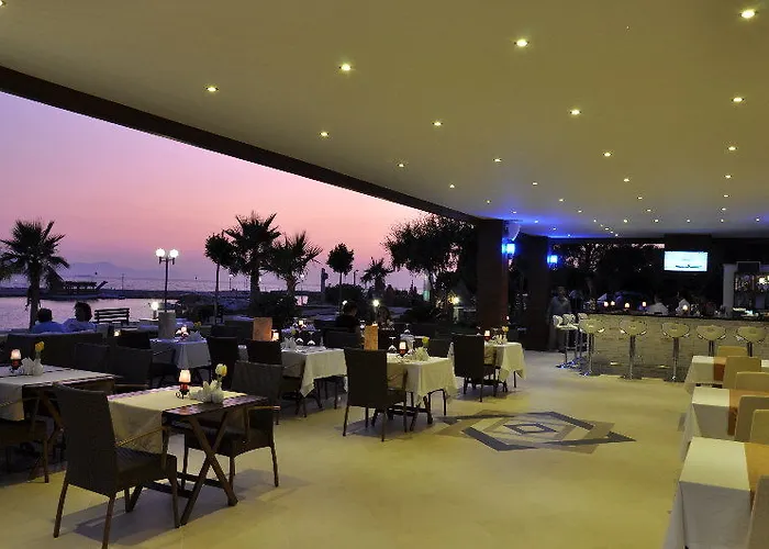 Small טורגוטריס