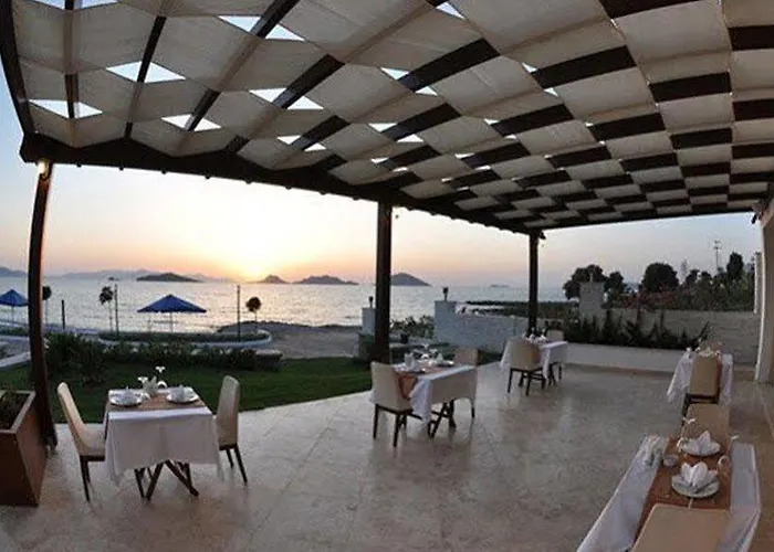 Small טורגוטריס